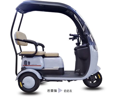 HH-SLBLM electric tricycle