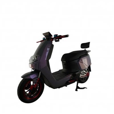 2024 Adult Electric Motorcycle Electric Bicycle High Power Electric Vehicle